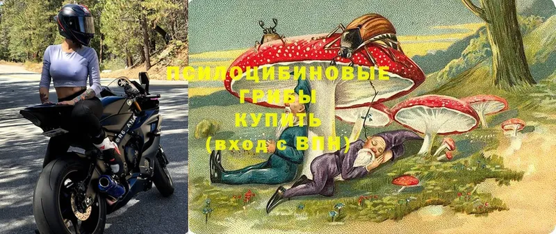 Галлюциногенные грибы ЛСД Коломна